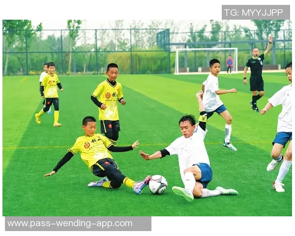 足球史话阅读：探寻绿茵场上的传奇与荣耀背后的故事